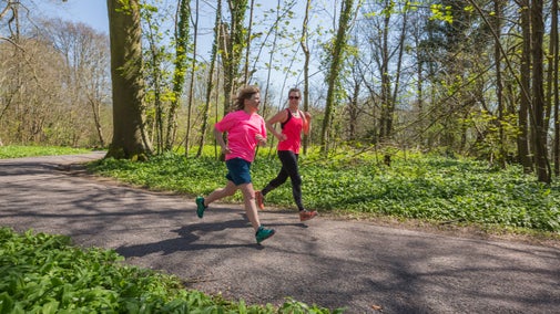 Exploring the Woodland on the Trust10 10K Trail Run